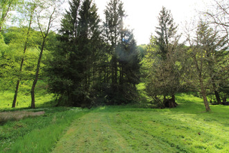  terrain frohmuhl 67290