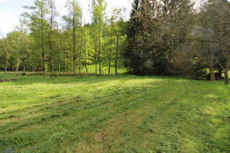  terrain frohmuhl 67290