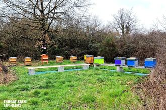  terrain fronton 31620