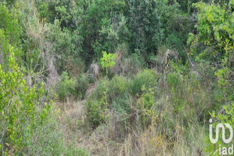  terrain gabian 34320