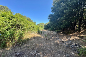  terrain galeria 20245