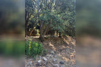  terrain galeria 20245