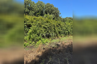  terrain galeria 20245