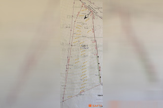  terrain ganties 31160