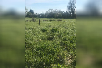  terrain genets 50530