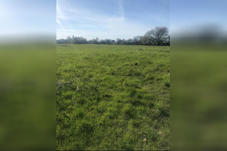  terrain genets 50530