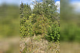  terrain gerbeviller 54830