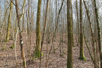  terrain gernelle 08440