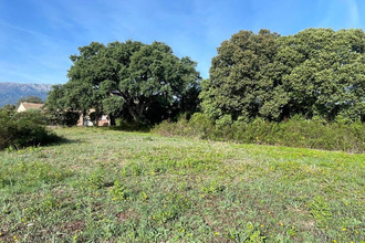 terrain ghisonaccia 20240