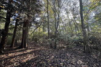  terrain ghyvelde 59254