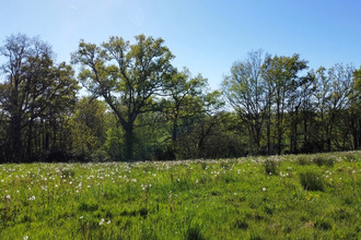  terrain gigouzac 46150