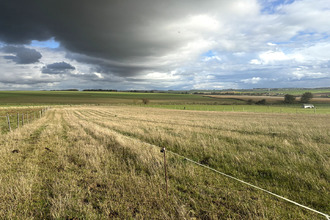  terrain gonnelieu 59231