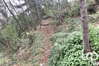  terrain gorbio 06500