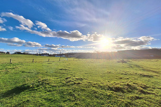  terrain gorhey 88270