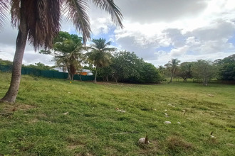  terrain gosier 97190