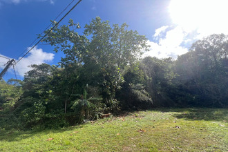  terrain gosier 97190