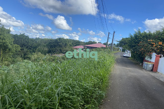  terrain gosier 97190