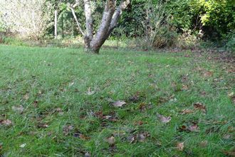  terrain gouesnou 29850