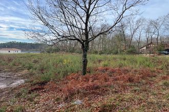  terrain gourbera 40990