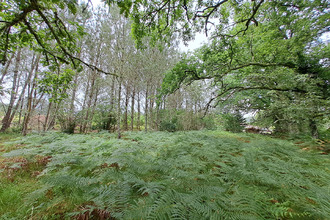  terrain gourbera 40990