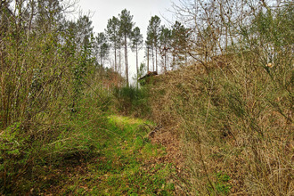  terrain gourbera 40990