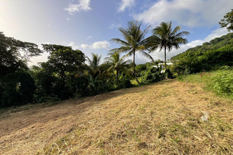  terrain gourbeyre 97113