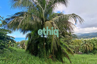  terrain gourbeyre 97113