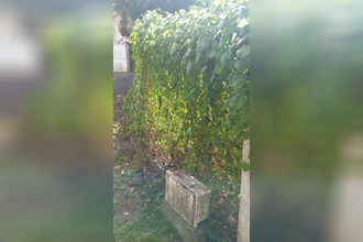  terrain gourbeyre 97113