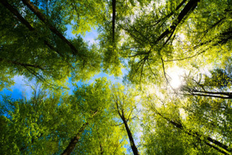  terrain gradignan 33170