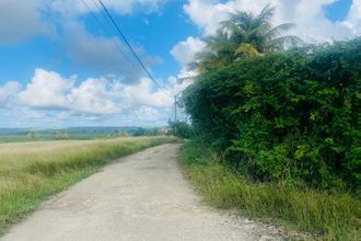  terrain grand-bg 97112