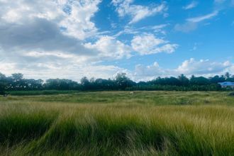  terrain grand-bg 97112