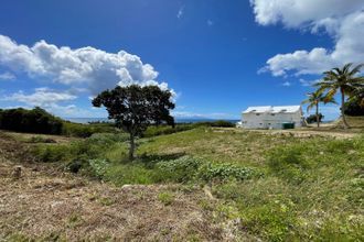  terrain grand-bg 97112