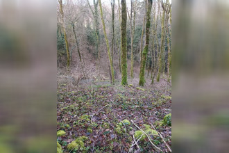  terrain grange-de-vaivre 39600