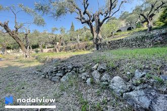  terrain grasse 06130