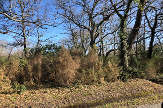  terrain grayan-et-l-hopital 33590