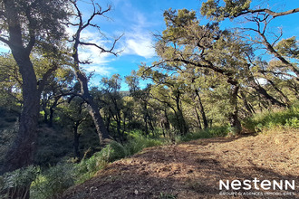  terrain grimaud 83310