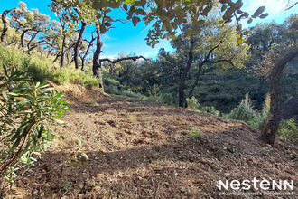  terrain grimaud 83310