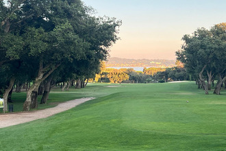  terrain grimaud 83310