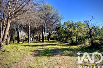  terrain grimaud 83310