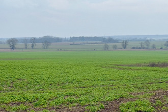  terrain grisy-les-platres 95810