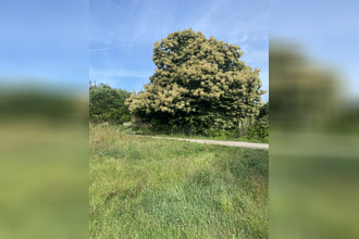  terrain groix 56590