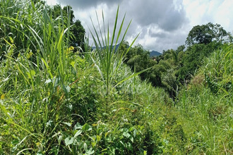  terrain gros-morne 97213