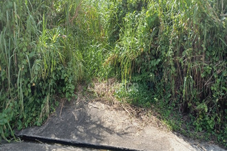  terrain gros-morne 97213