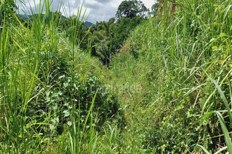  terrain gros-morne 97213