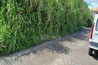  terrain gros-morne 97213