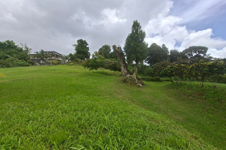  terrain gros-morne 97213