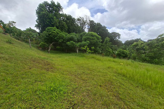  terrain gros-morne 97213