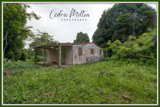  terrain gros-morne 97213