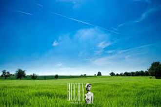  terrain grosbreuil 85440