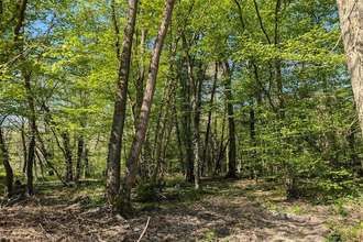  terrain guignes 77390